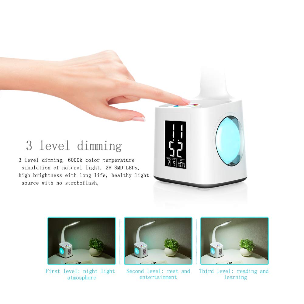LED Desk Lamp with USB Charging