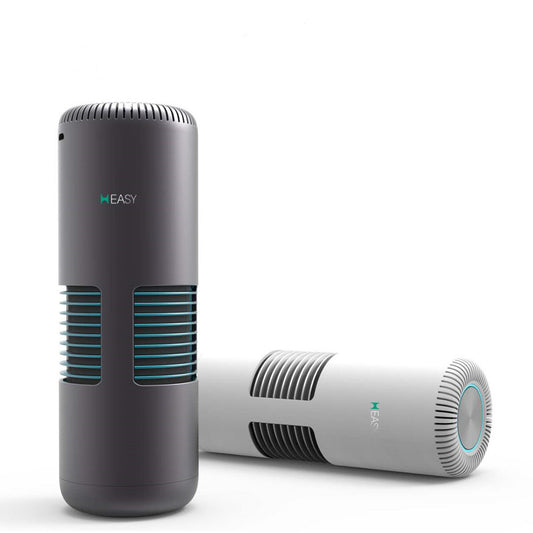 Portable mini air purifier
