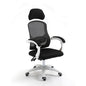Ergonomic Gaming Chair