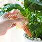 Bird Self-Watering Device