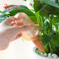 Bird Self-Watering Device
